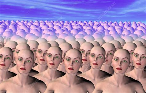 is human cloning next